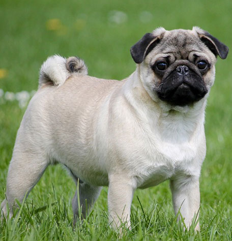 歳とると本当にこんなことあるんだな