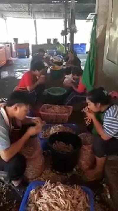 味の素「ザ★から揚げ」など一部の冷凍食品を販売休止 タイ工場で生産量落ち込む