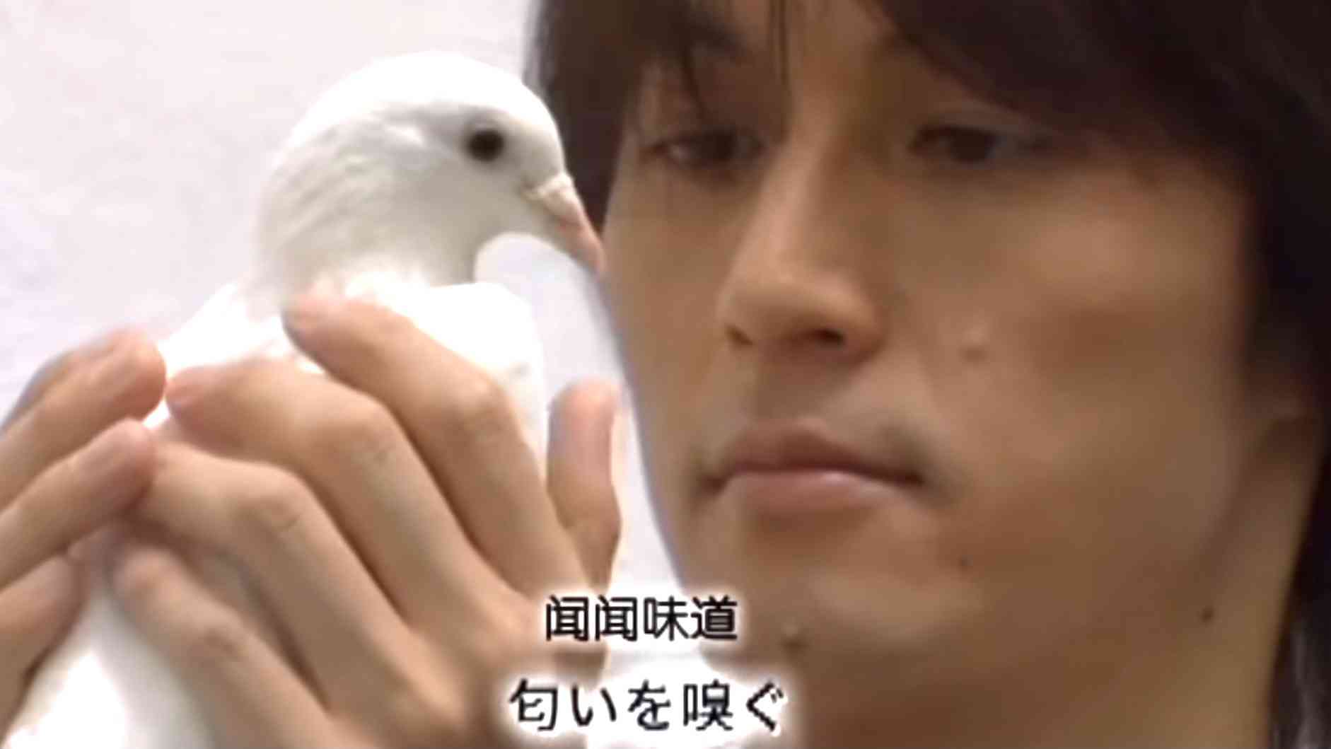 稲葉浩志さんのソロを語りたい