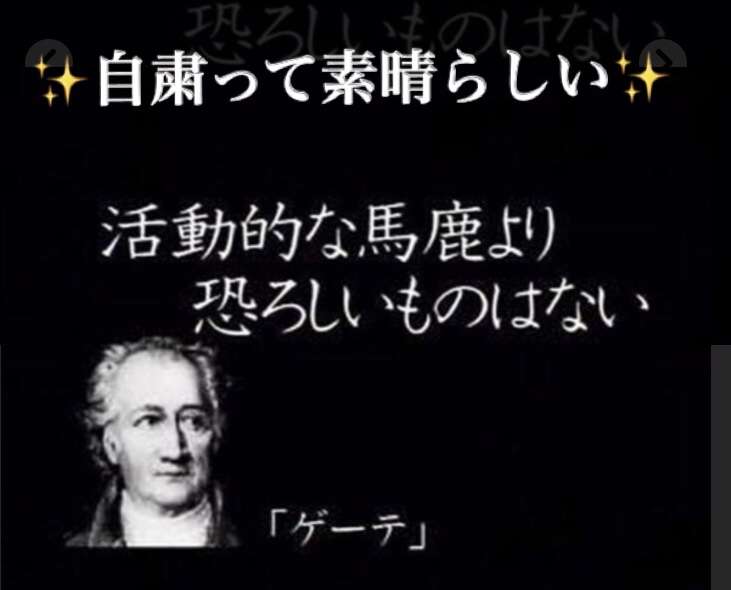 コロナウイルスに疲れた人が立ち寄るトピPart19