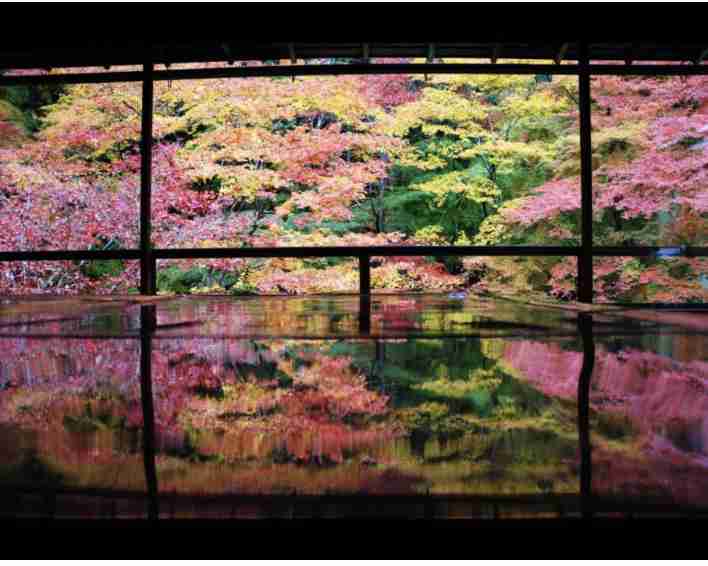 日本で一番美しいところ