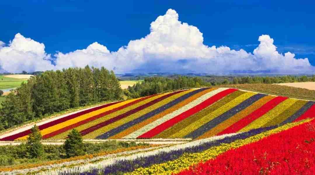 日本で一番美しいところ