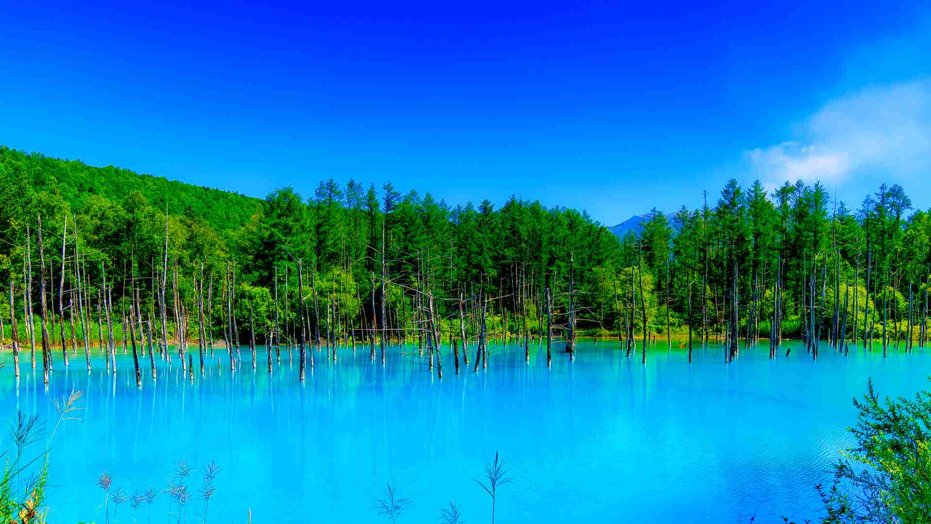 日本で一番美しいところ