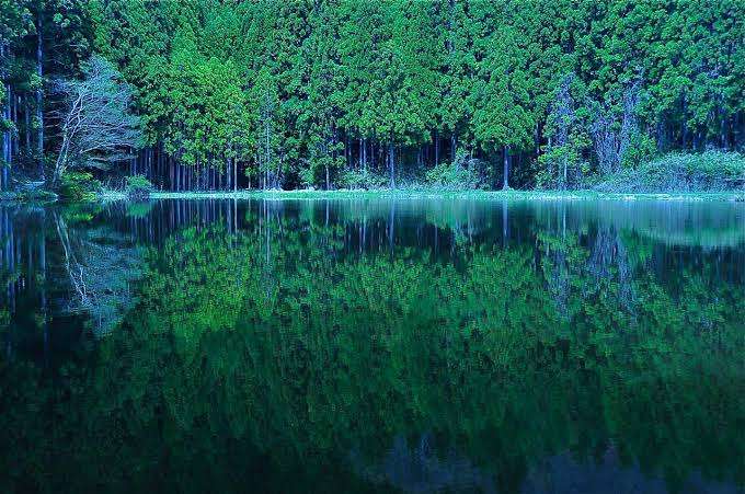 日本で一番美しいところ