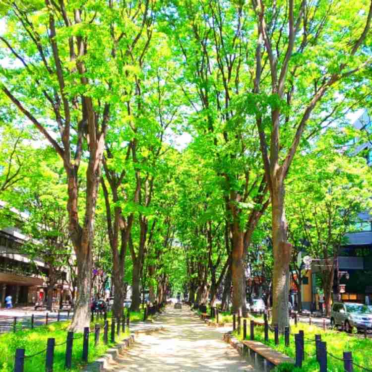 日本で一番美しいところ