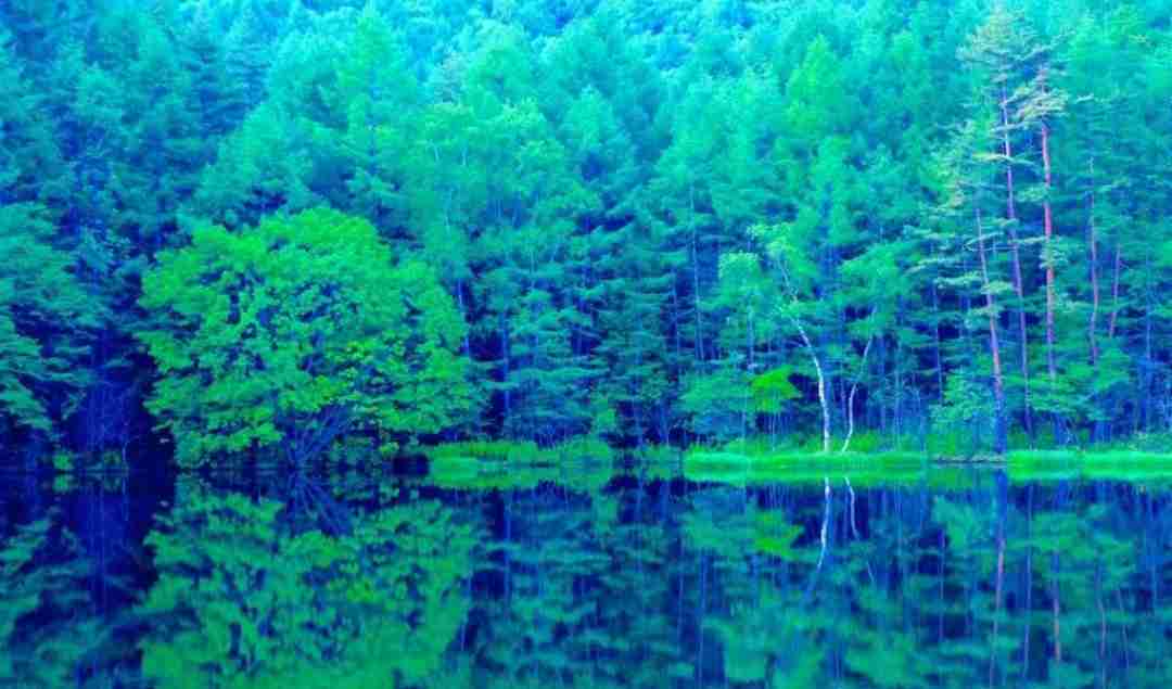 日本で一番美しいところ