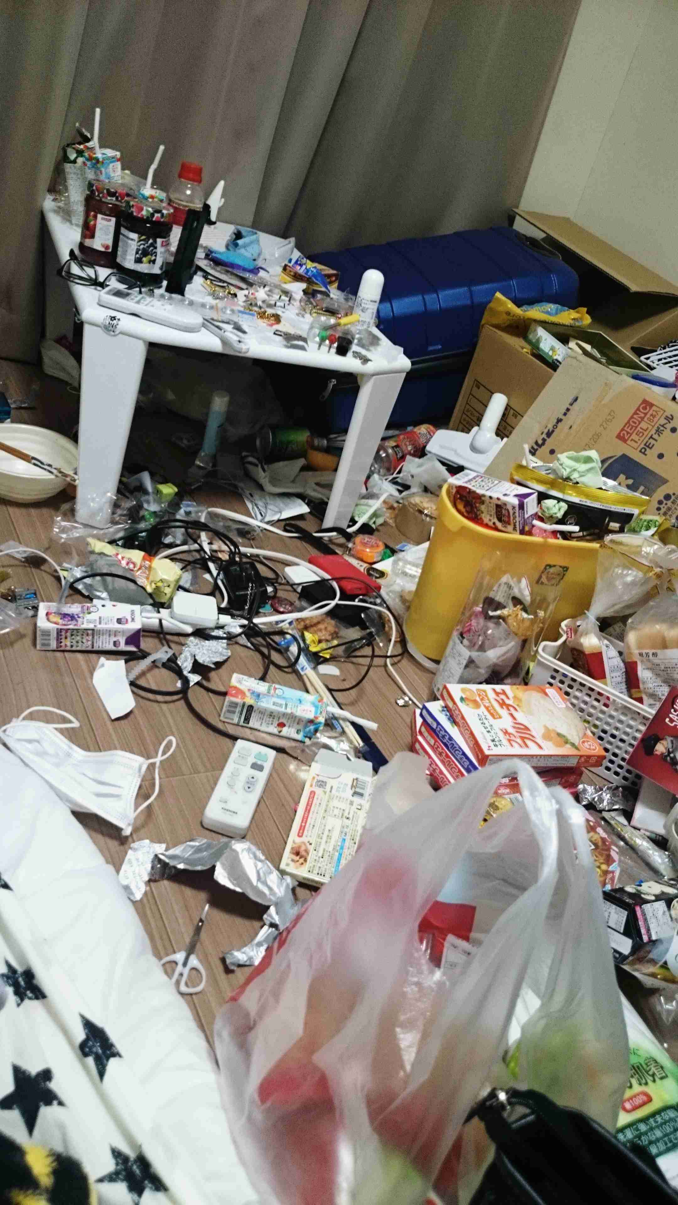 身バレしない程度に汚部屋を晒すトピpart3