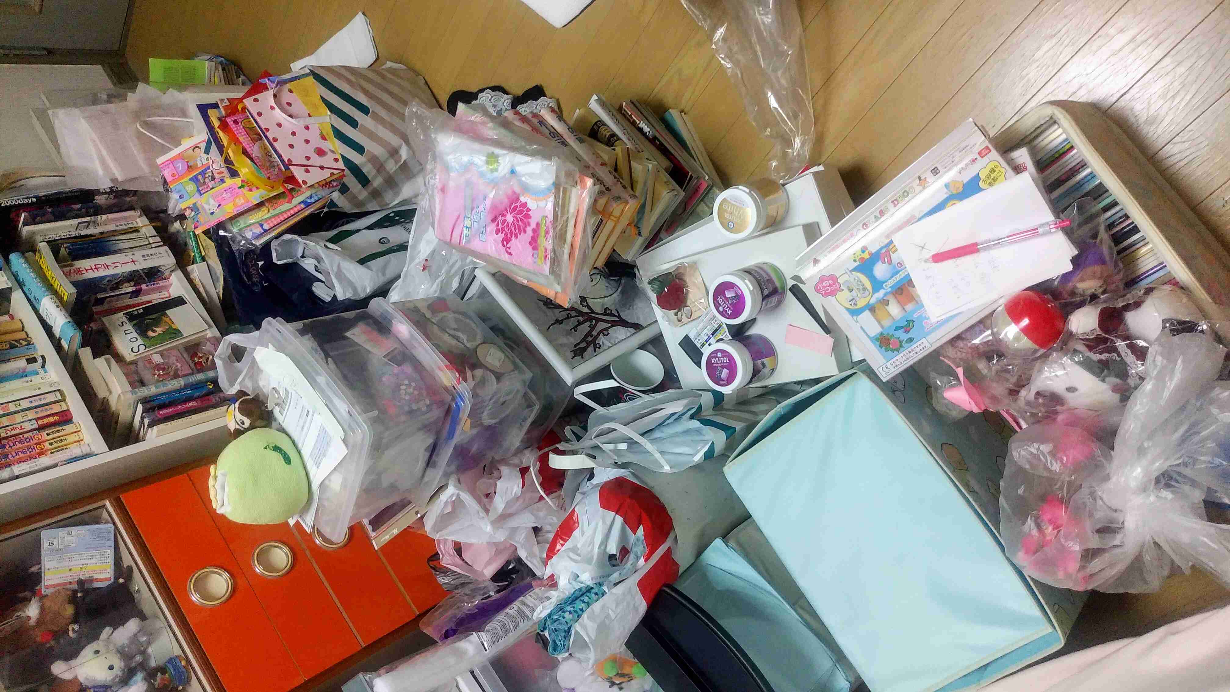身バレしない程度に汚部屋を晒すトピpart3