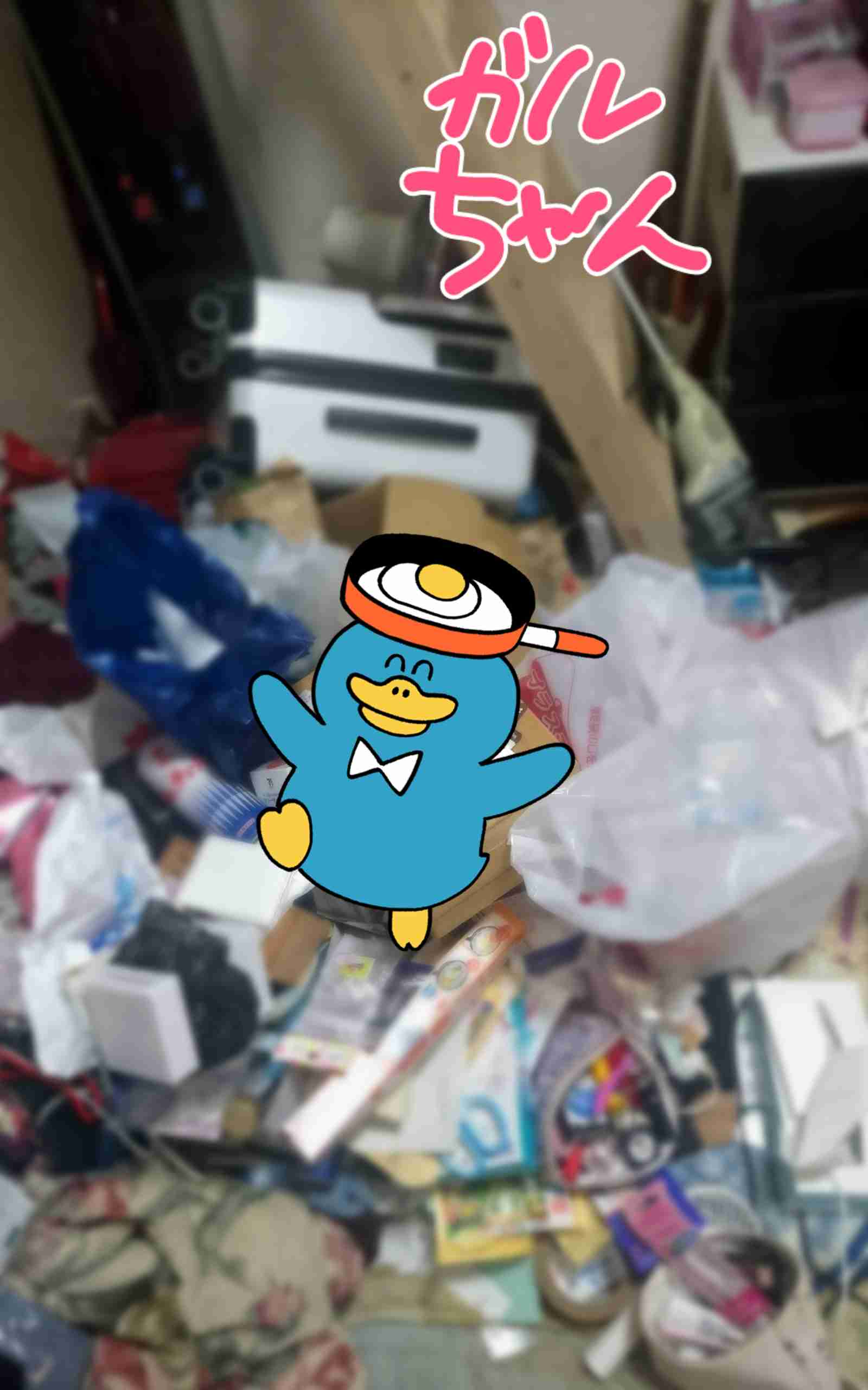 身バレしない程度に汚部屋を晒すトピpart3