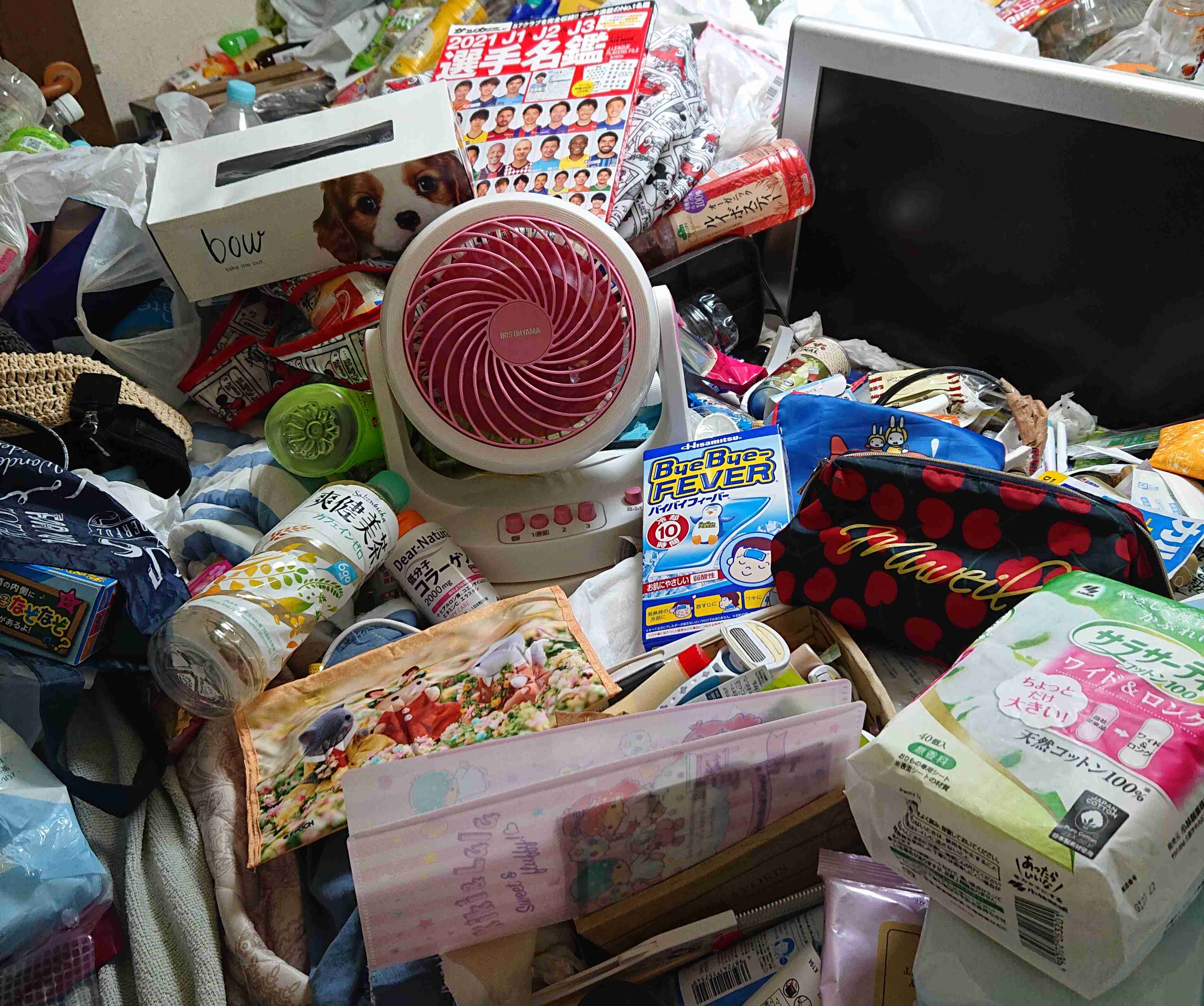 身バレしない程度に汚部屋を晒すトピpart3