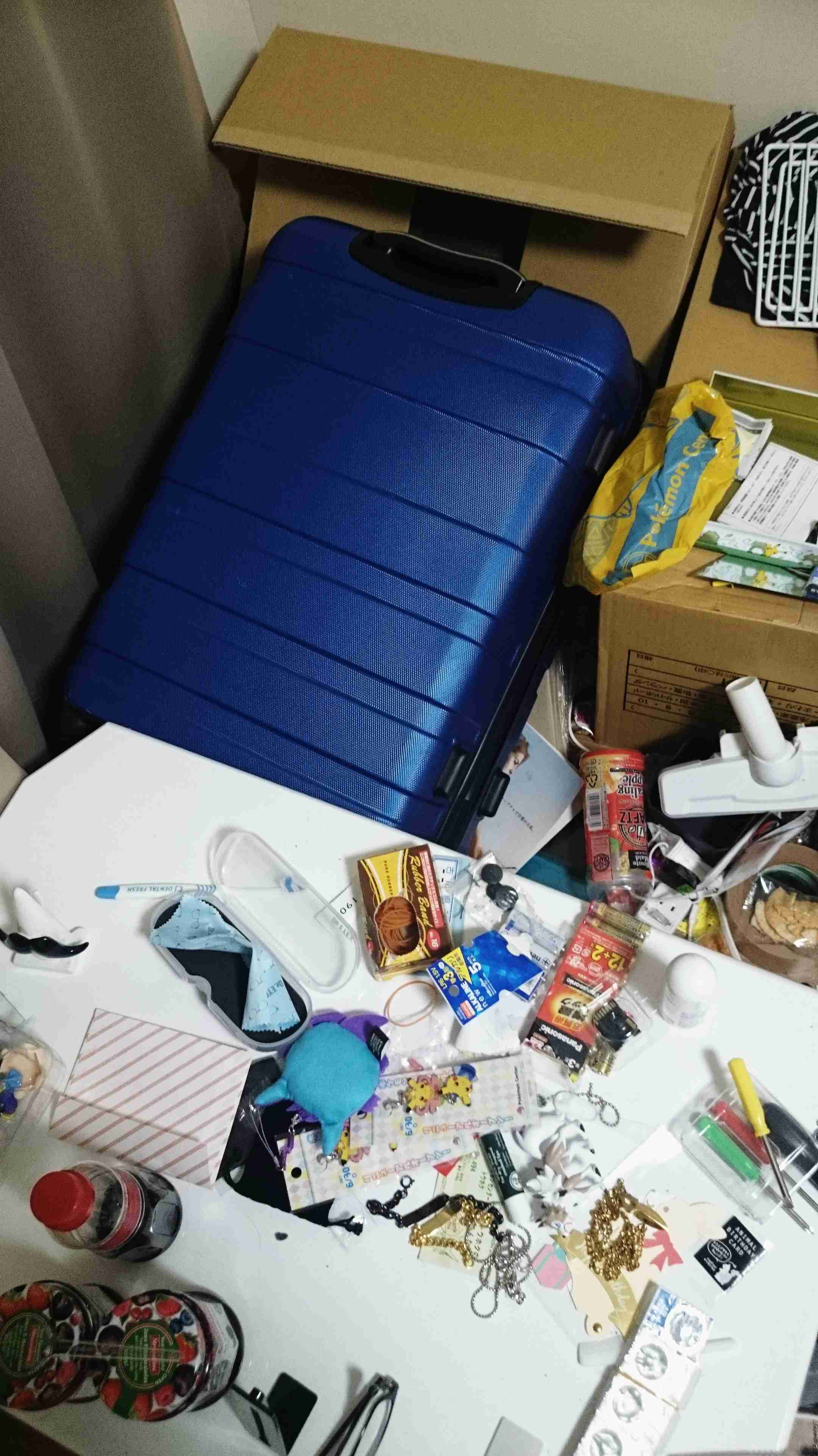 身バレしない程度に汚部屋を晒すトピpart3