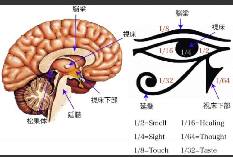 「ワクチン未接種は死亡リスク11倍に」米保健当局