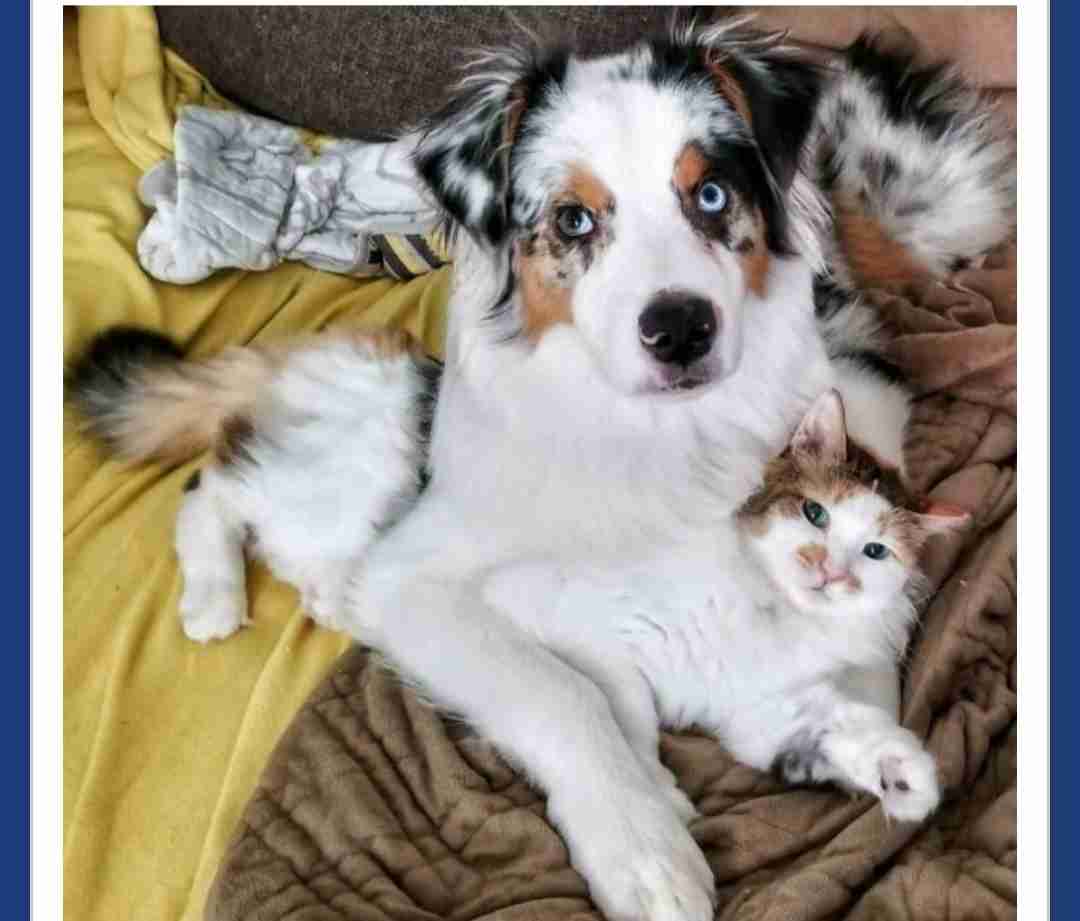 思わず二度見してしまったものpart2