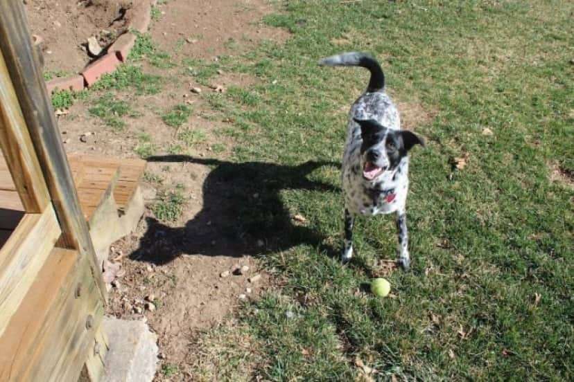 思わず二度見してしまったものpart2