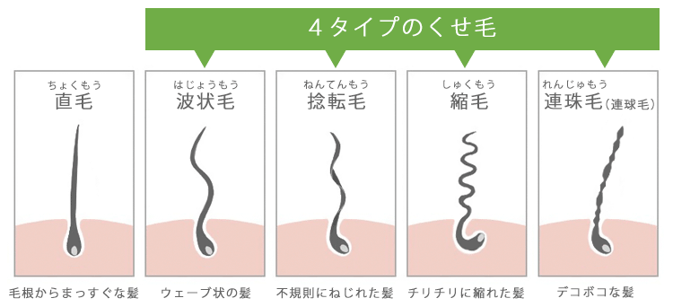 癖毛を自力で真っ直ぐにしたい