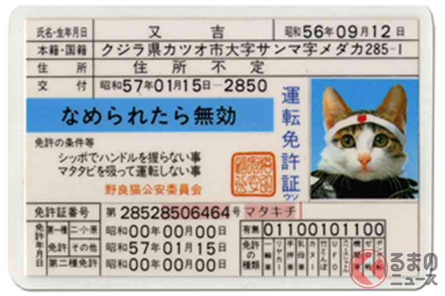 昭和生まれの女子小学生が持ってそうな物Part2