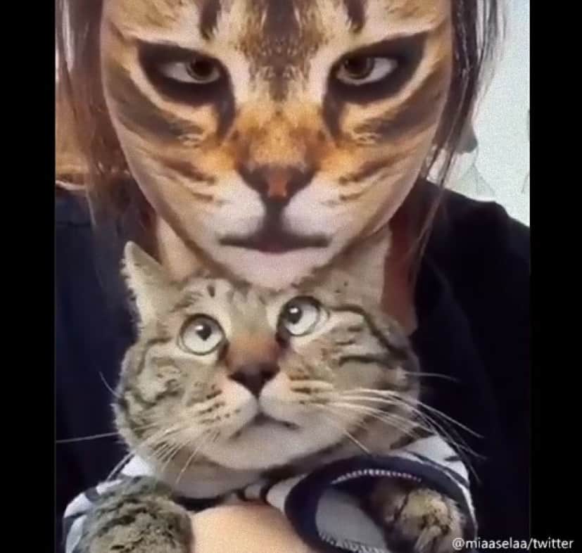 本能を忘れてそうな動物たちが集結するトピ