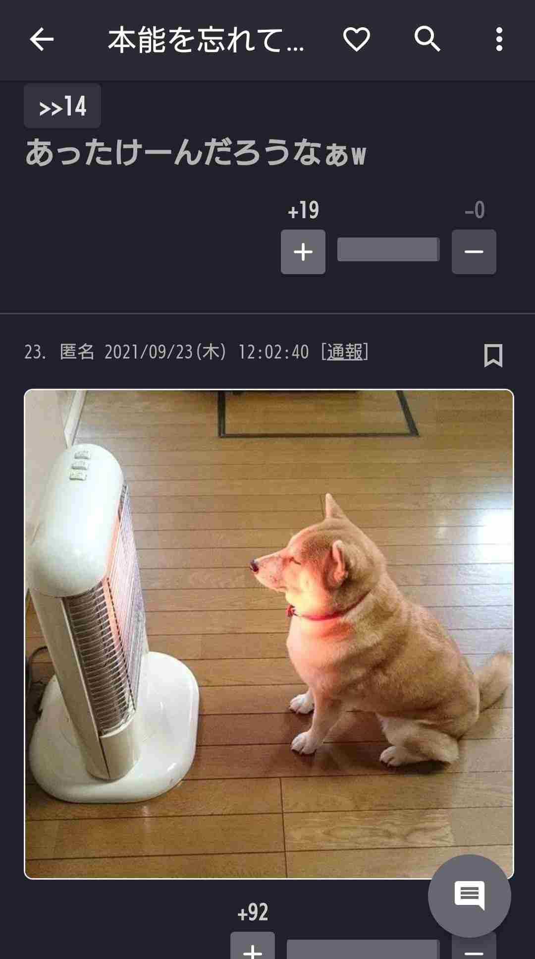 本能を忘れてそうな動物たちが集結するトピ