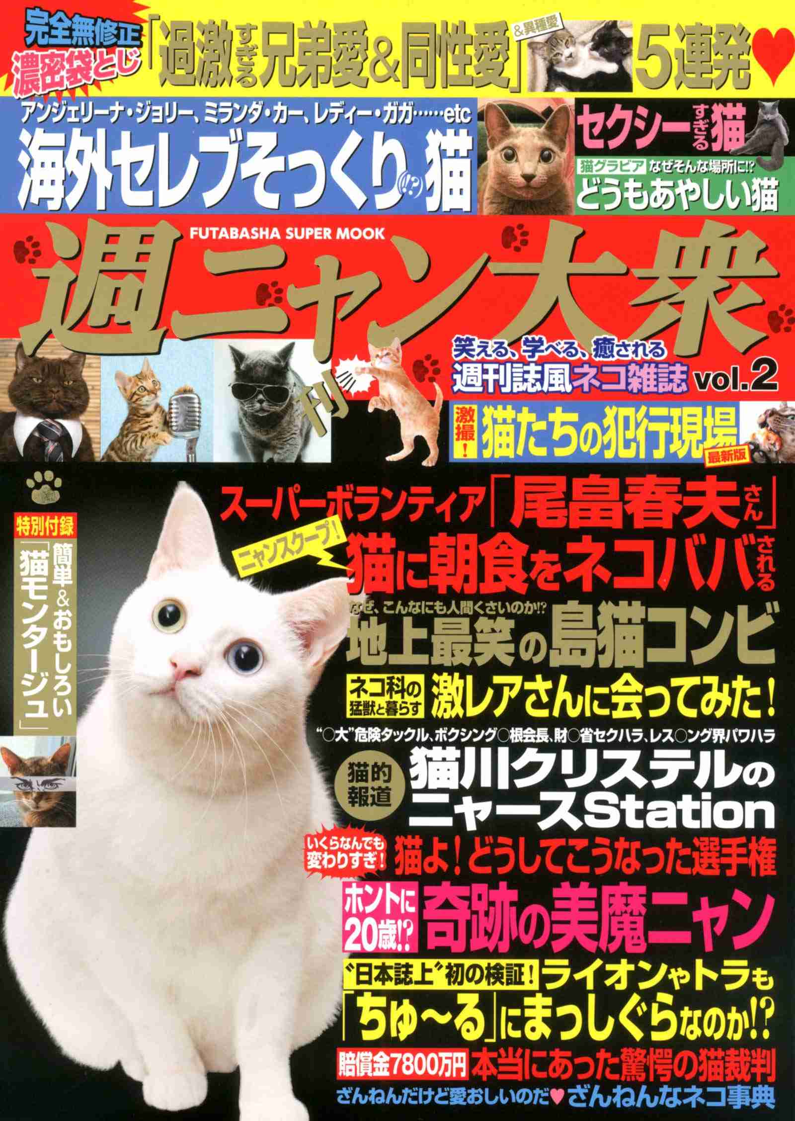 猫を飼っている方、どんな出会い方でしたか？