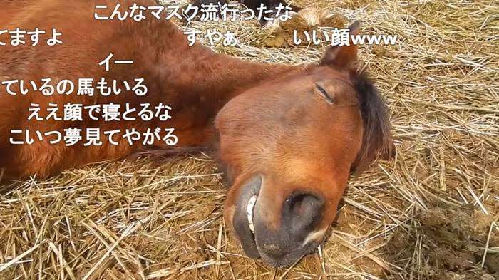 〇〇してる時が1番時間の流れが早く感じる