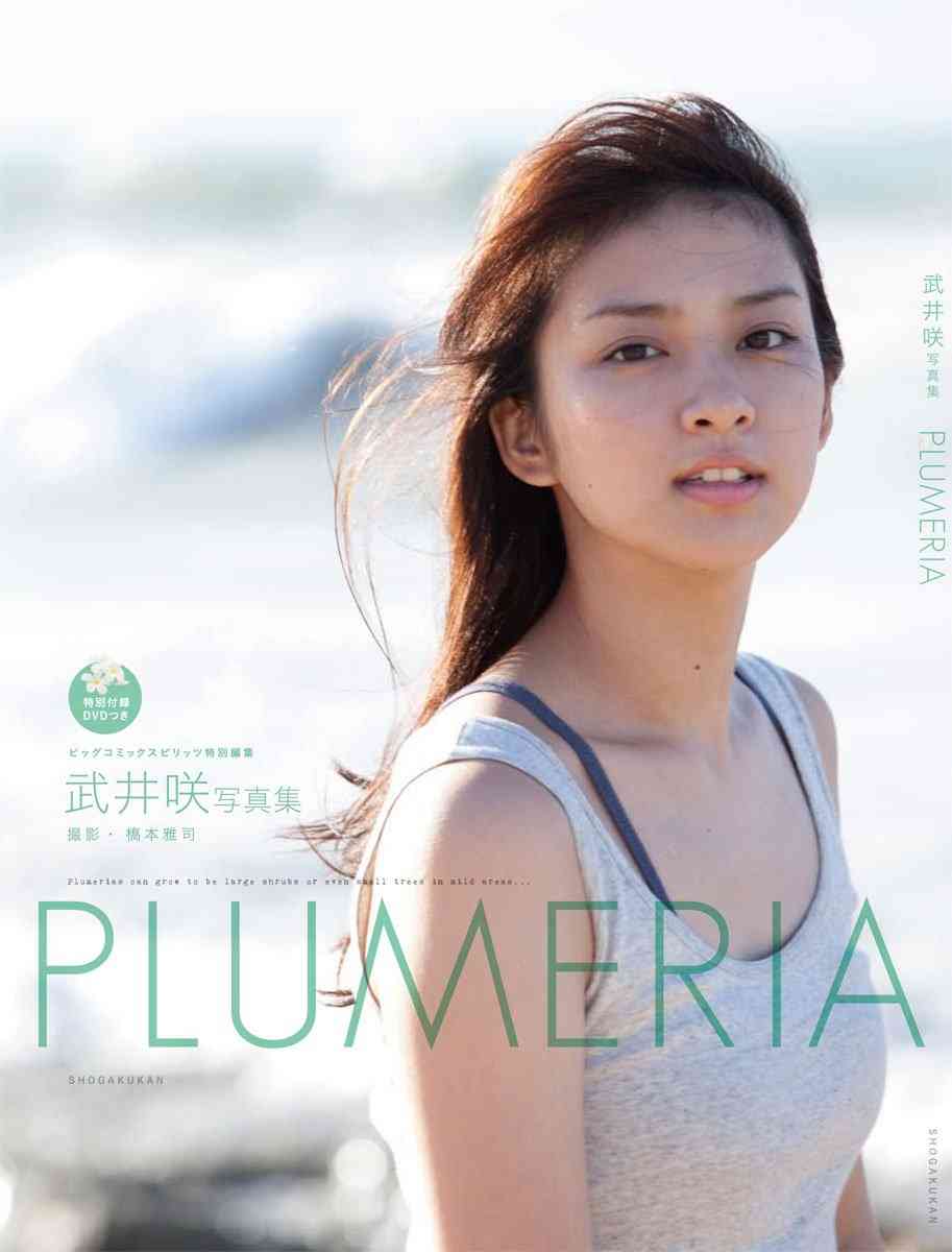 女性芸能人の写真集持ってる人