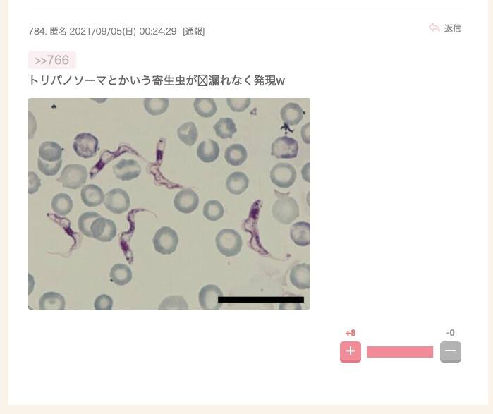 感染者「10代以下が倍増」　ワクチン“空白世代”ジワリ...　冬に向け「第6波」懸念