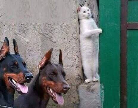 いつも緊張してる人