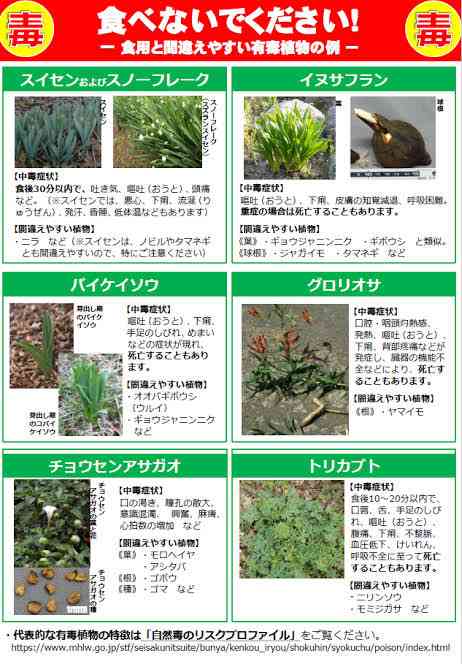 毒を持ってる生物・植物