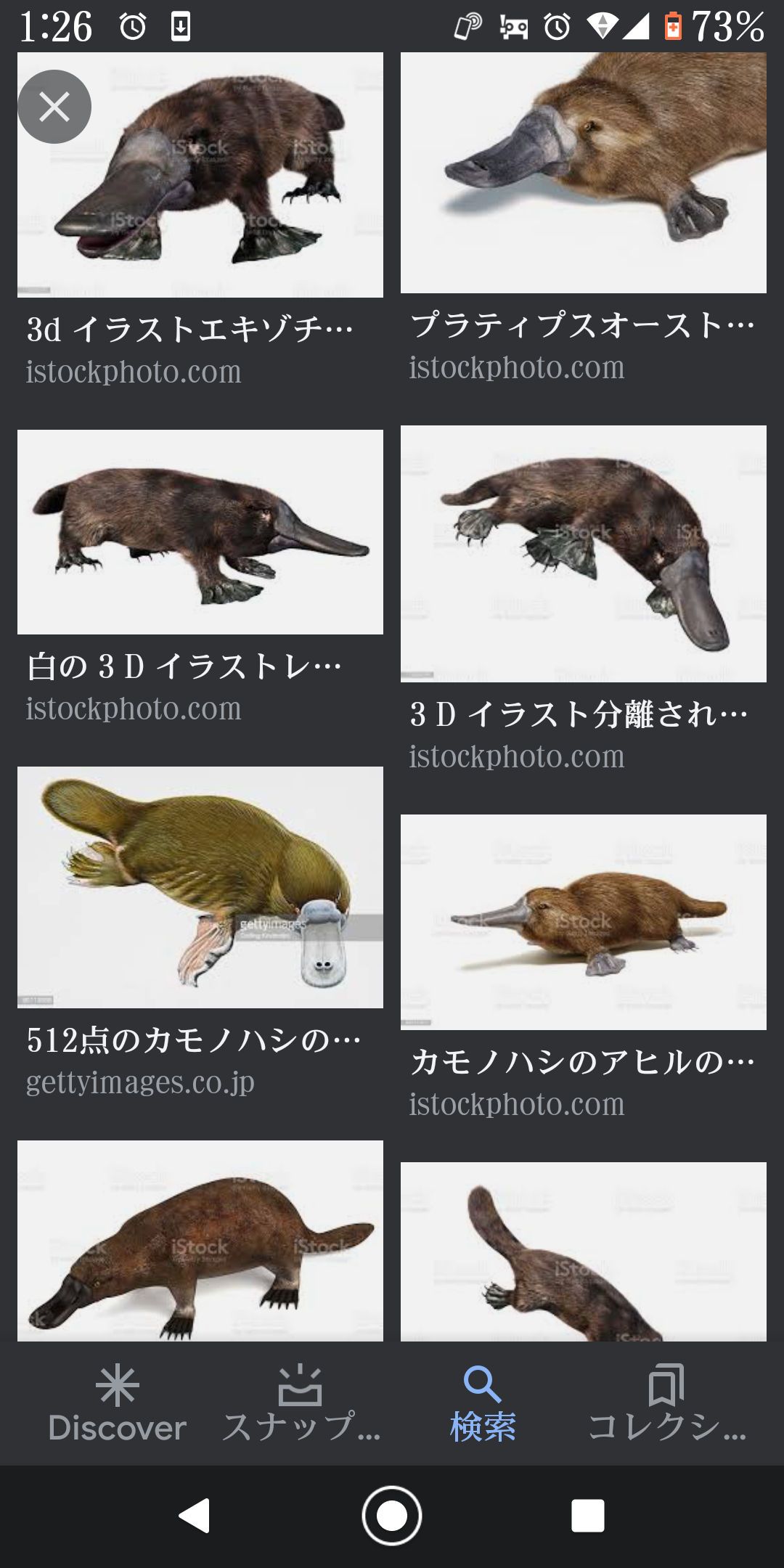 毒を持ってる生物・植物