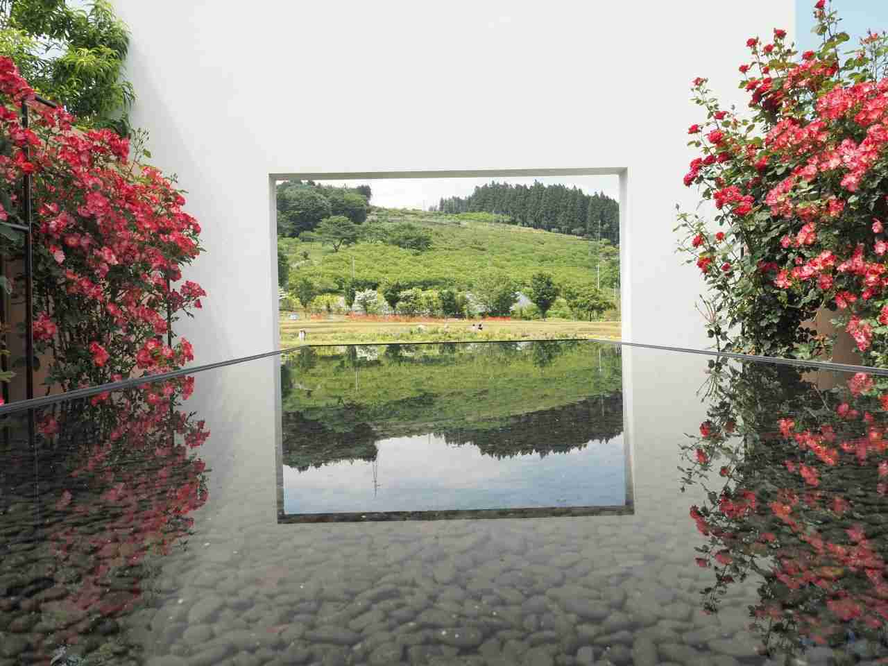 天国って群馬県にあったんだ? 噴水を囲むたくさんの白いバラ…西洋絵画のような光景にうっとり