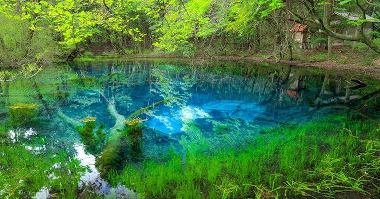 天国って群馬県にあったんだ? 噴水を囲むたくさんの白いバラ…西洋絵画のような光景にうっとり