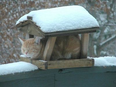 寒冷地に住んでる人集合!