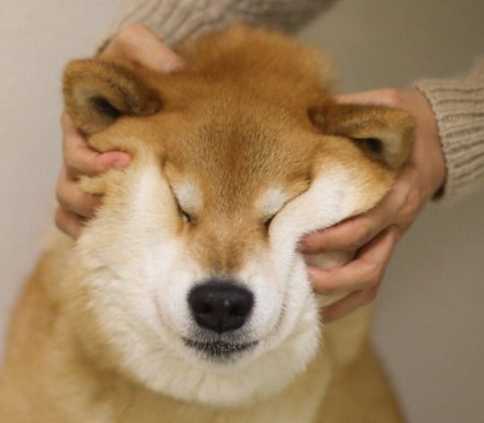 輪郭が老化でやばい