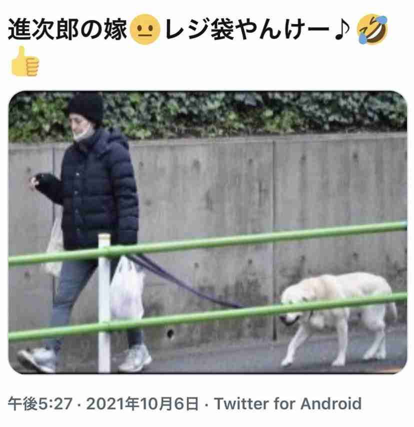 小泉進次郎氏の人気健在! 大臣時代の実績PR「犬連れ、猫連れ、抱っこヒモの男性増えた」