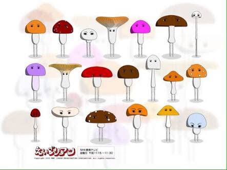 色々なきのこの画像が見たい