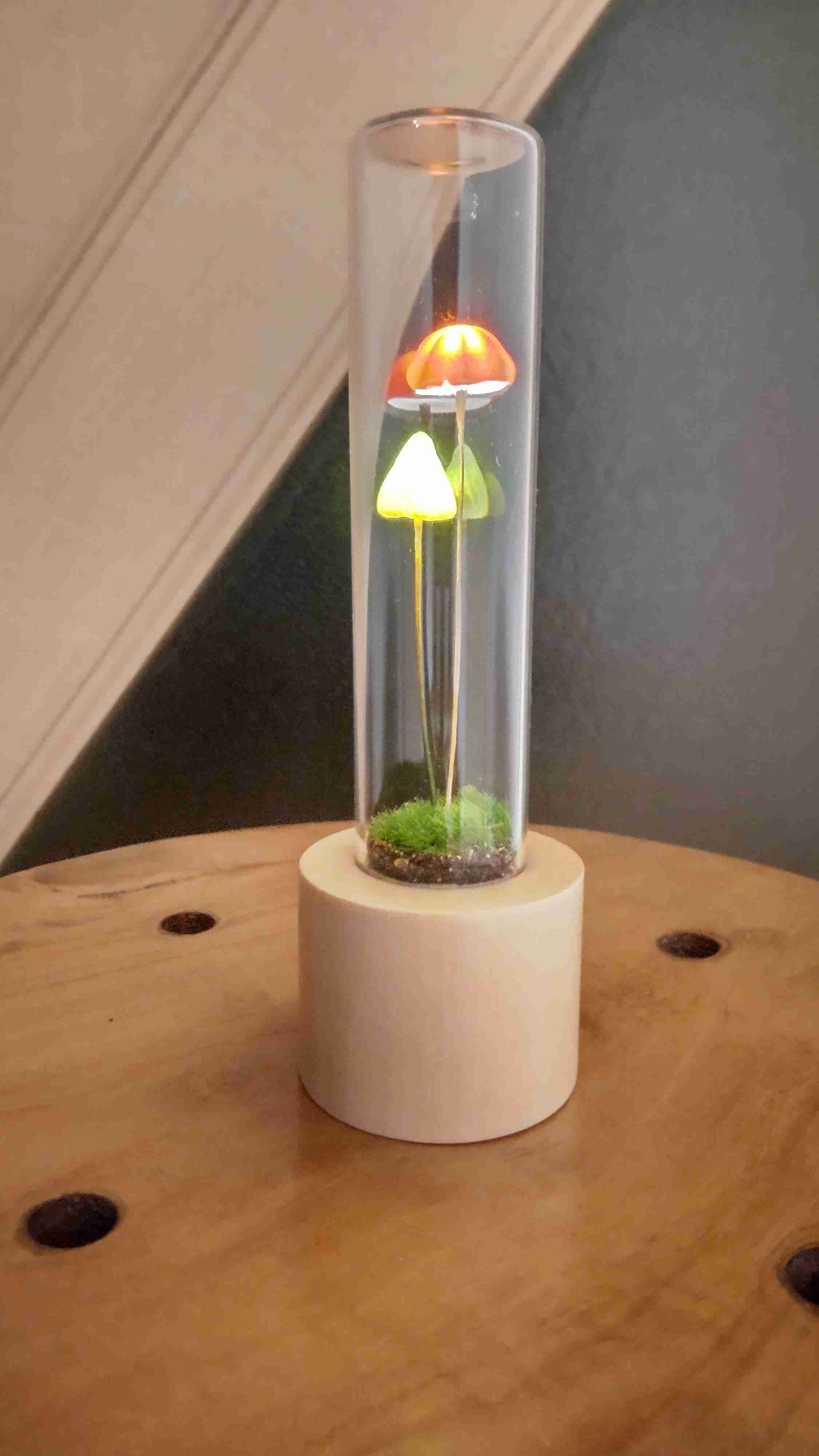 色々なきのこの画像が見たい