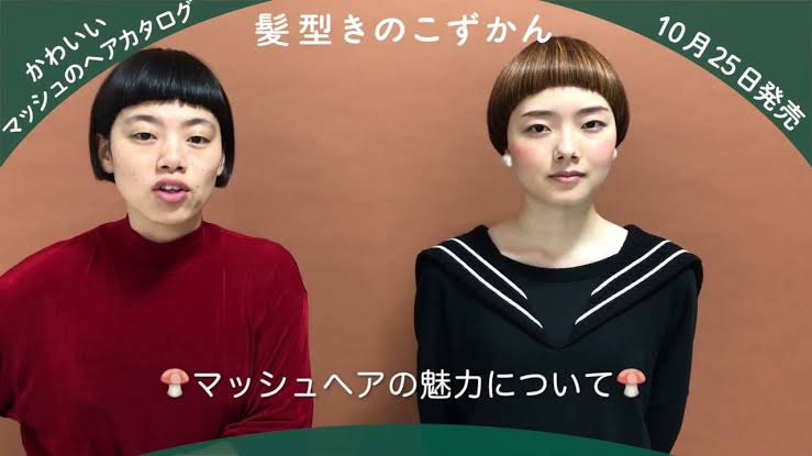 色々なきのこの画像が見たい