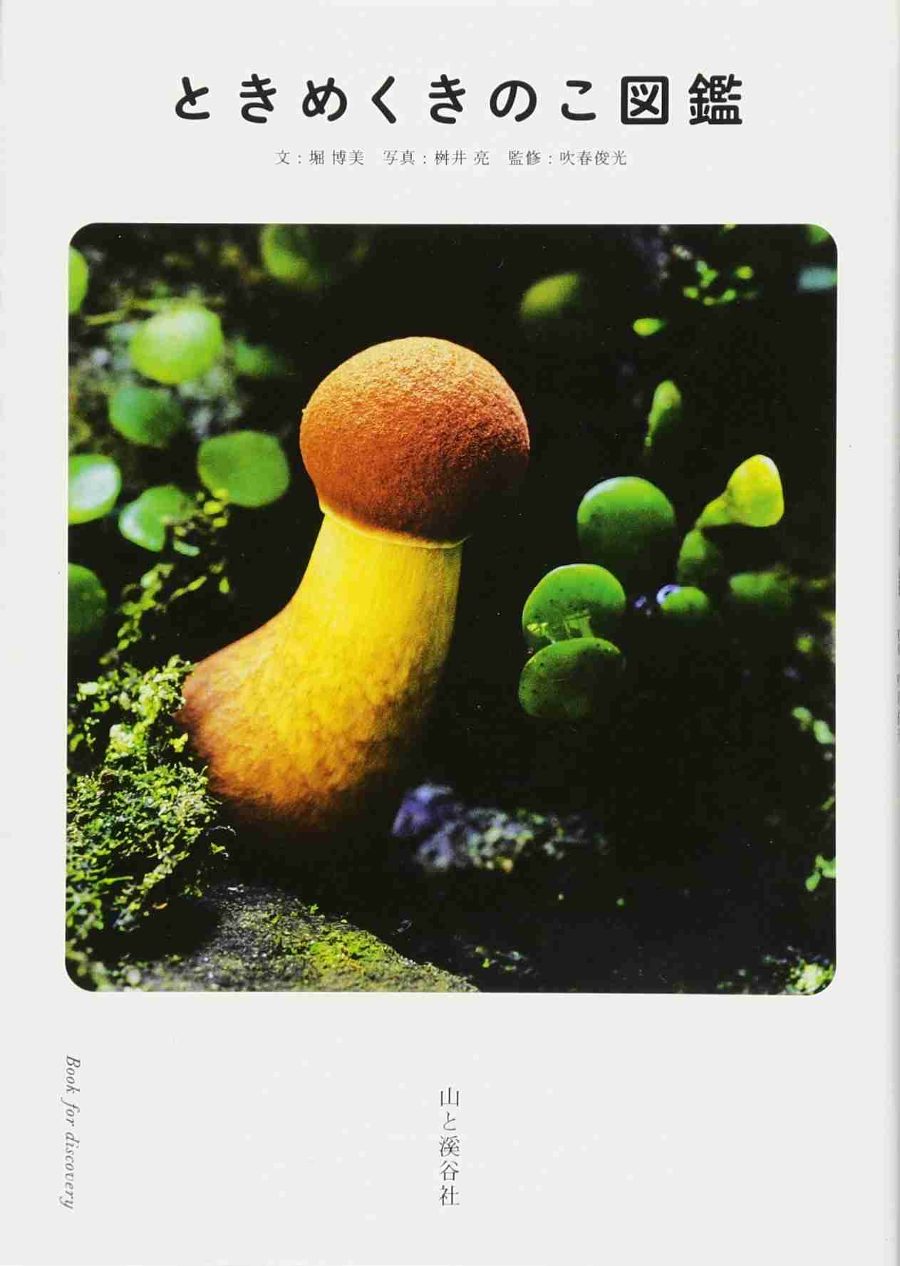 色々なきのこの画像が見たい