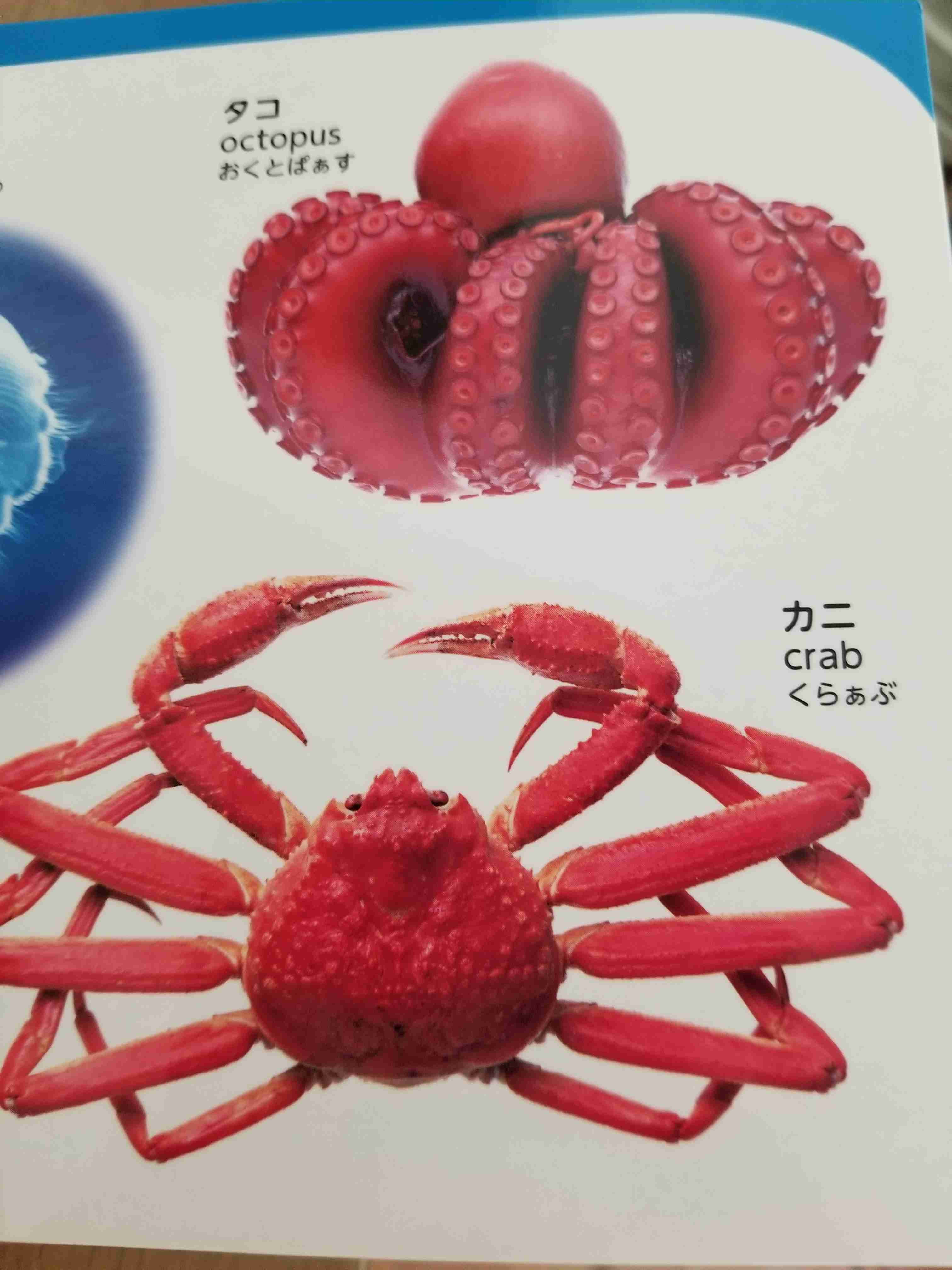2歳児の母が語るトピ　Part.41