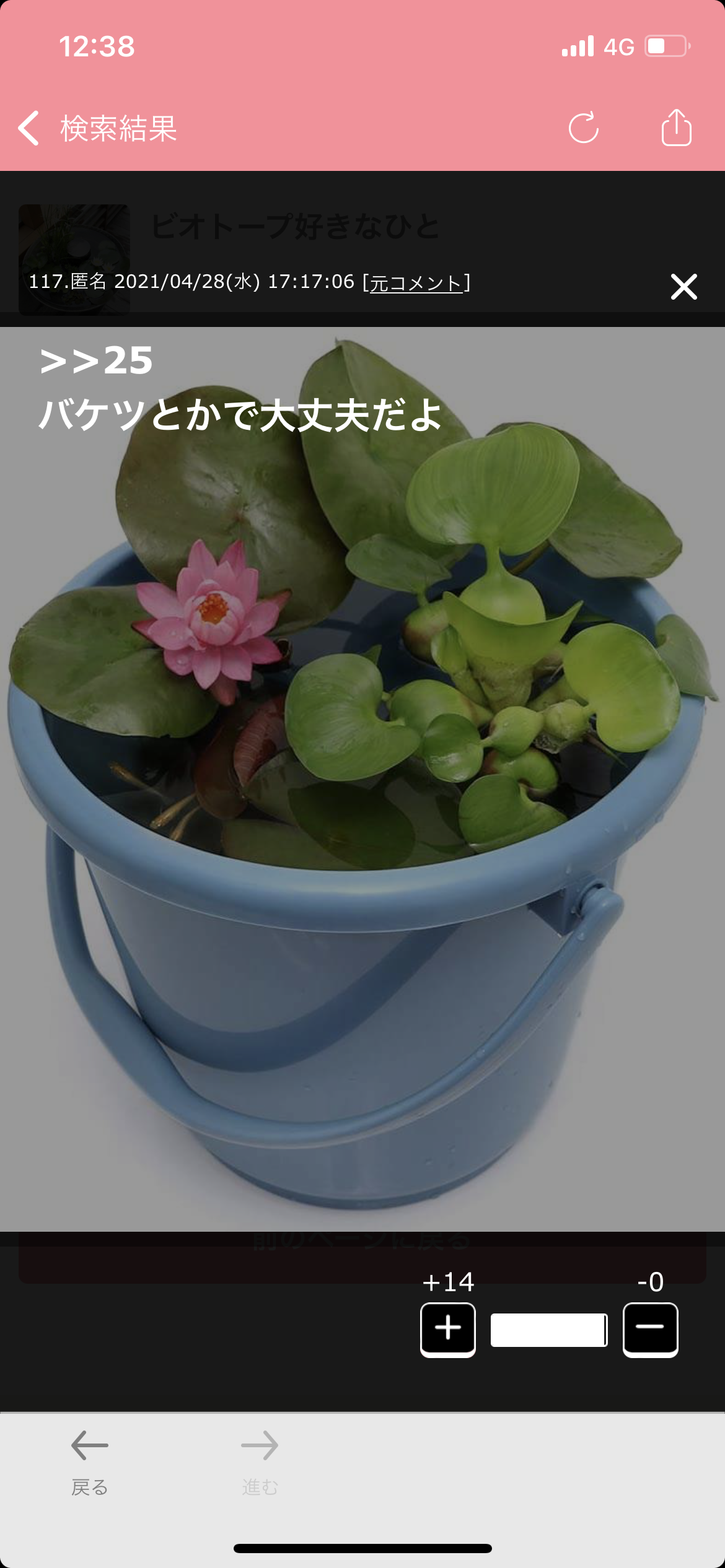 メダカ倶楽部 part 8