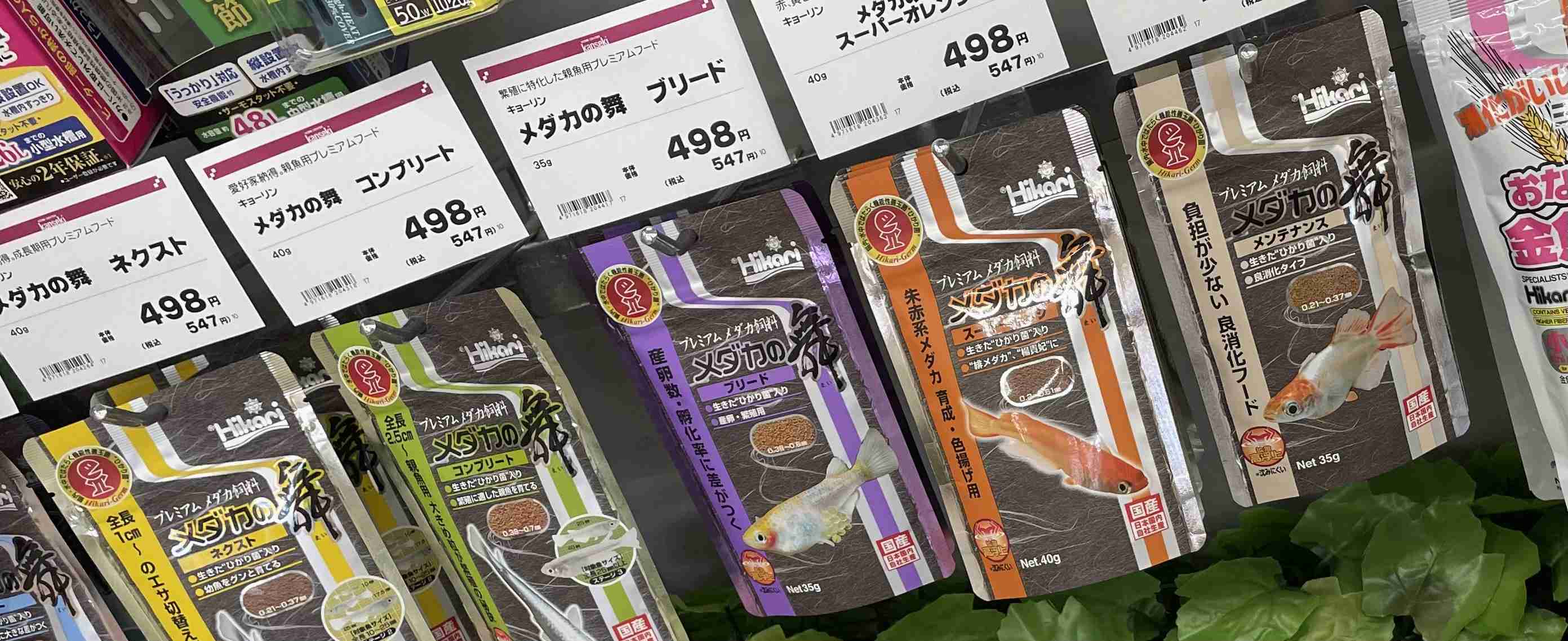 メダカ倶楽部 part 8