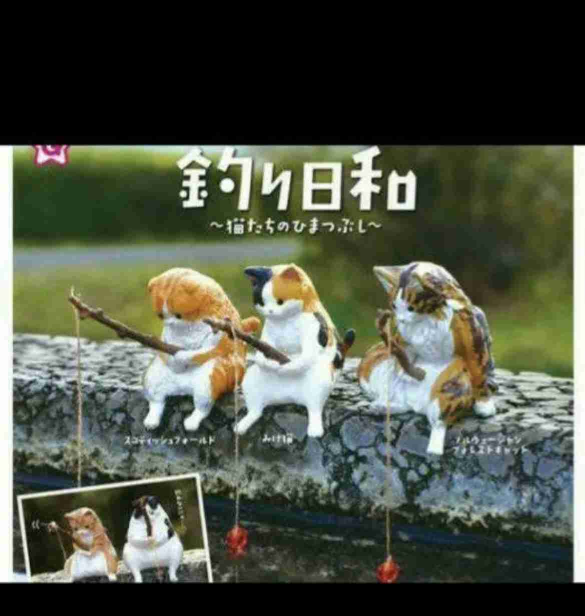 メダカ倶楽部 part 8