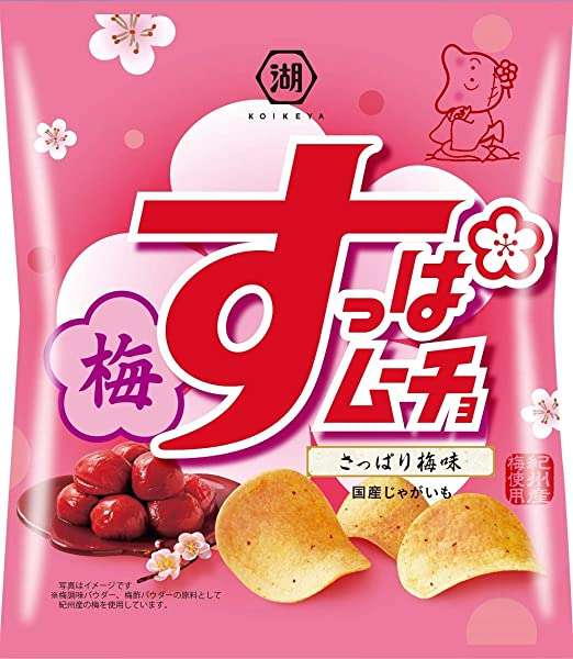 梅系のお菓子が好き🔴【干し梅ねり梅梅干しシート】
