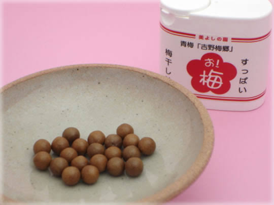 梅系のお菓子が好き🔴【干し梅ねり梅梅干しシート】