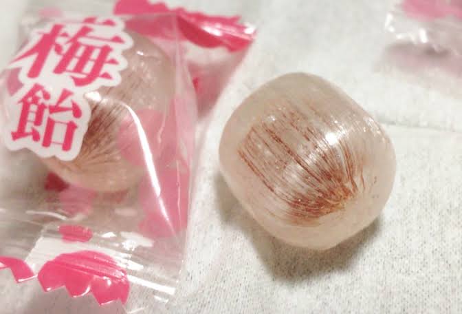 梅系のお菓子が好き🔴【干し梅ねり梅梅干しシート】