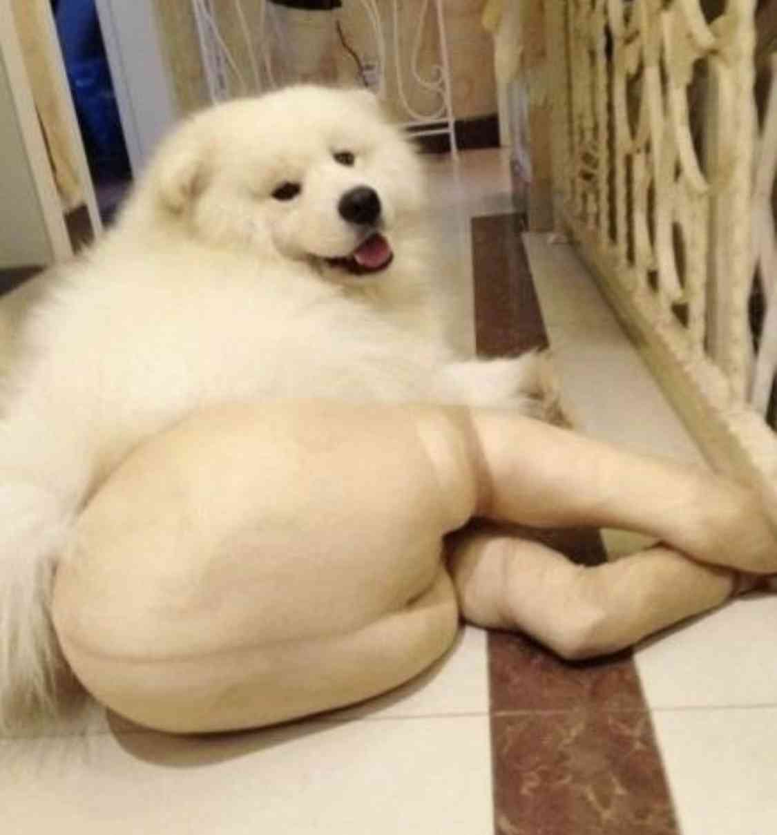 セクシーだなって思う物や事