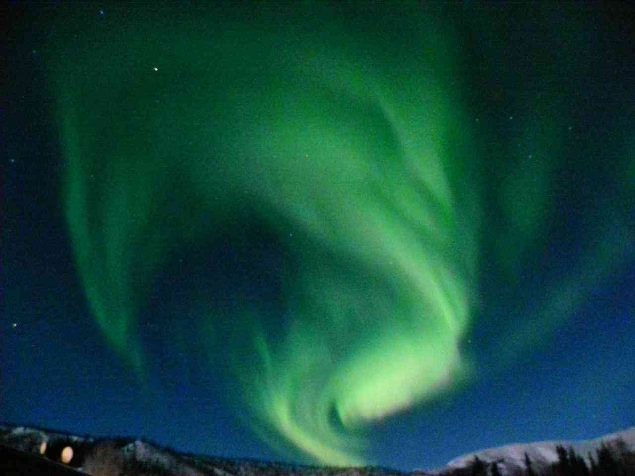 アラスカに行ったことのある方!