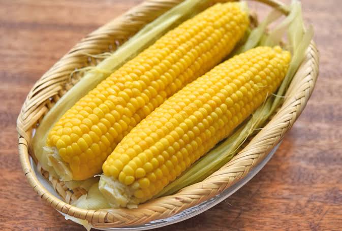 地域差でびっくりしたこと