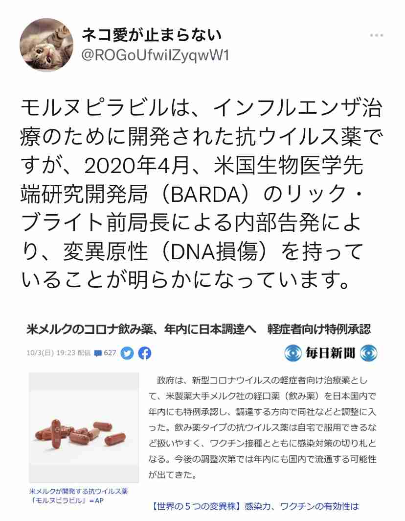 米メルクのコロナ飲み薬、年内に日本調達へ　軽症者向け特例承認