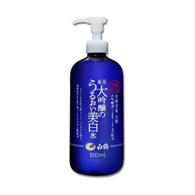 おすすめの大容量化粧水